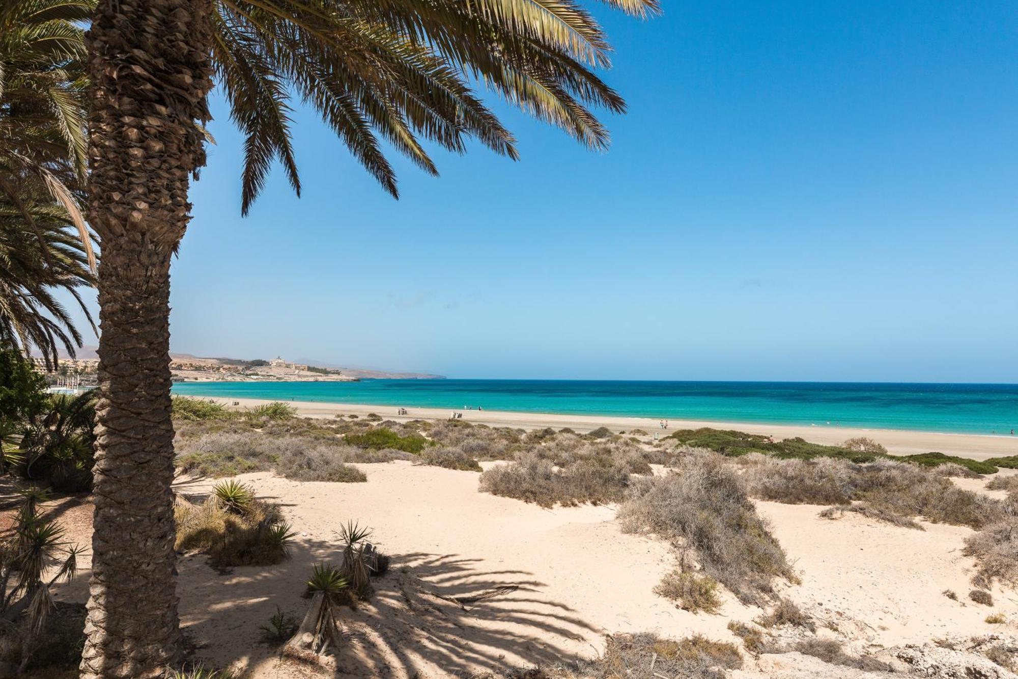 Home2Book Sea View & Terrace Escape, Playa Paraiso Costa Calma Exterior foto